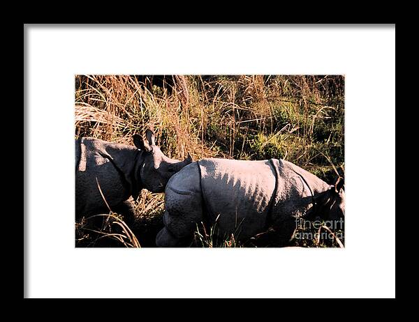 First Star Art Framed Print featuring the photograph Nepal Rhinos in the Wild by First Star Art