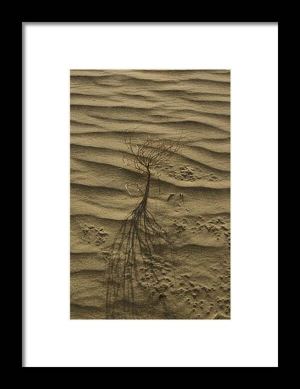 Desert Framed Print featuring the photograph Nevada Dunes by Suzanne Lorenz