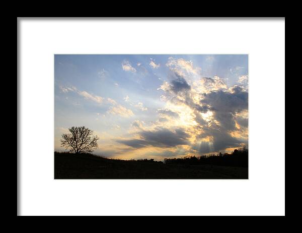 Tree Framed Print featuring the photograph Never Alone by Mark J Seefeldt