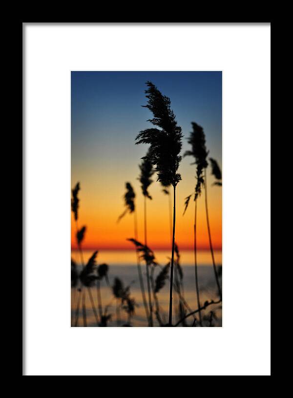 Sunrise Framed Print featuring the photograph New Day by Rebecca Sherman