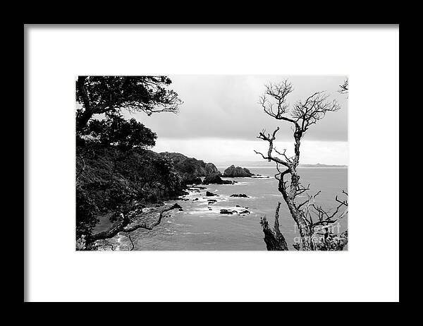 Dead Framed Print featuring the photograph Ngunguru bay New Zealand by Yurix Sardinelly