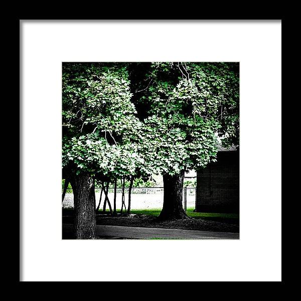 Beautiful Framed Print featuring the photograph Nothing Like A Cool Shady Spot During A by Becca Watters
