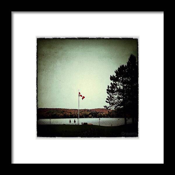 Teamrebel Framed Print featuring the photograph Oh Canada by Natasha Marco
