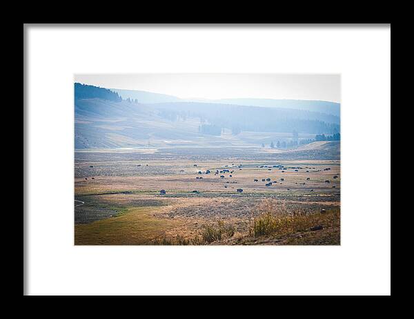 Buffalo Framed Print featuring the photograph Oh Home on the Range by Cheryl Baxter