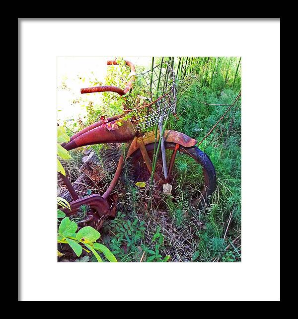 Old Bikes Framed Print featuring the photograph Old Bike and Weeds by Duane McCullough