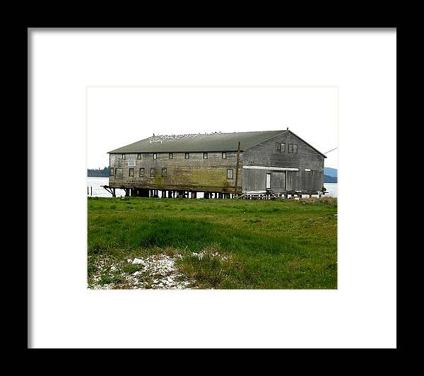 Oysterville Framed Print featuring the photograph Old Cannery Oysterville by Kelly Manning