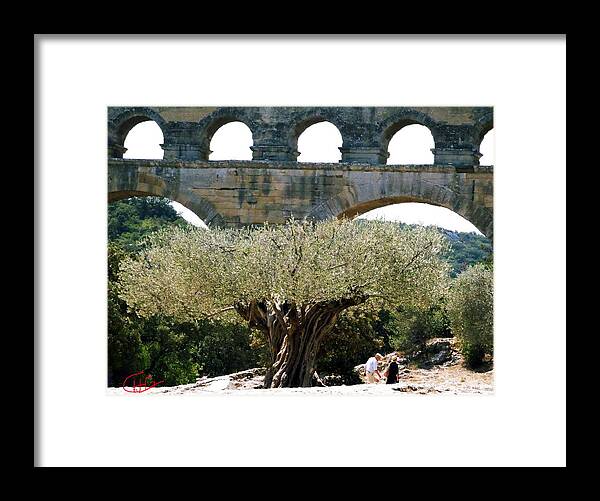 Colette Framed Print featuring the photograph Old Olive Tree under the Pond de Gard France by Colette V Hera Guggenheim