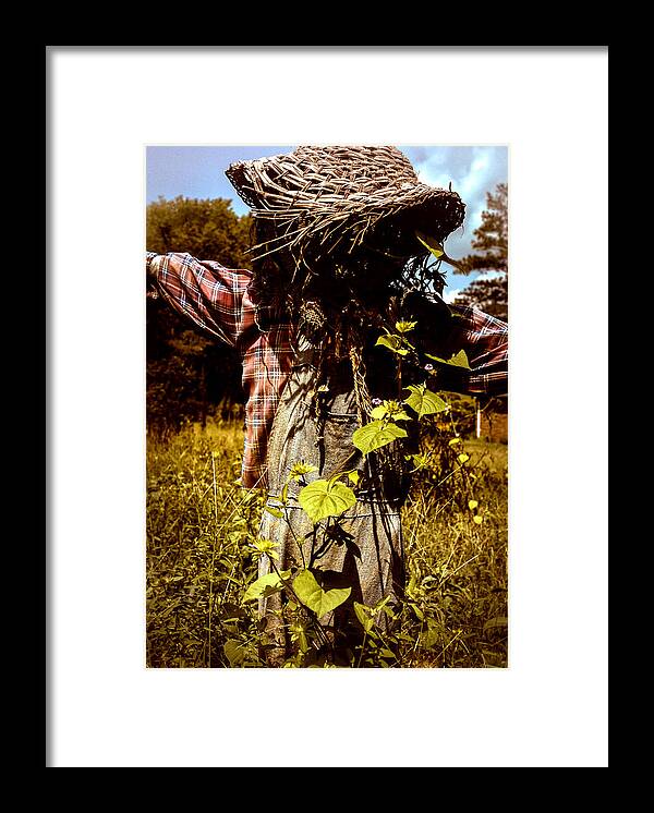 Agriculture Framed Print featuring the photograph Old Scarecrow by Devin Rader