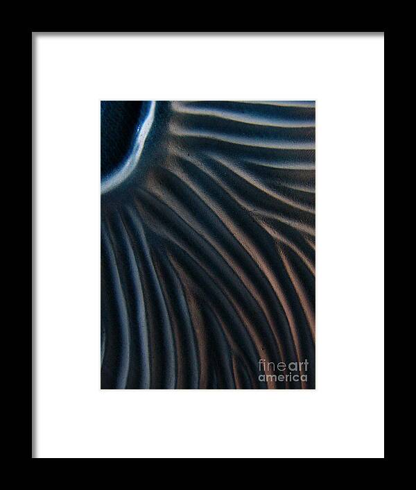 Metal Framed Print featuring the photograph On Edge II by Mark Holbrook