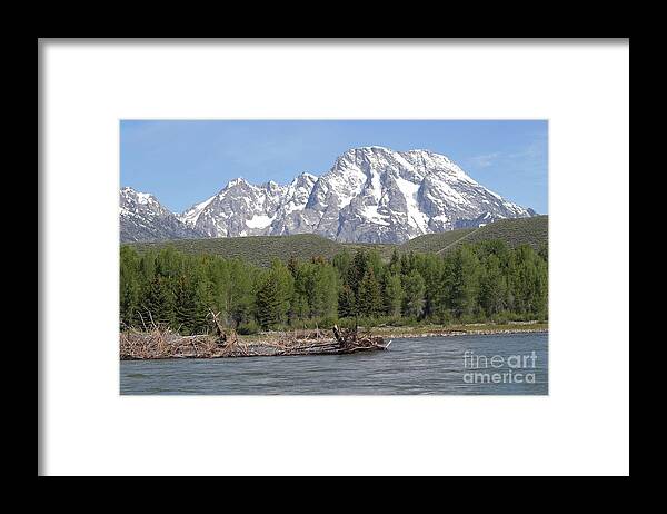 Grand Tetons Framed Print featuring the photograph On The Snake River by Living Color Photography Lorraine Lynch