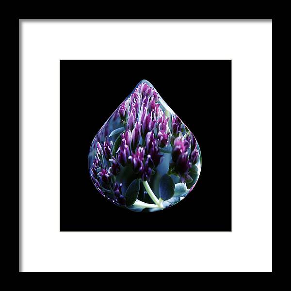Water Framed Print featuring the photograph One Drop of Water by Barbara St Jean