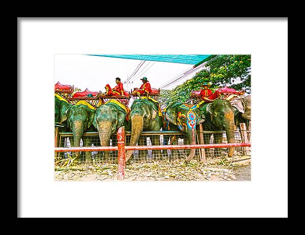 Jewel Of India Framed Print featuring the pastel One stands out The Jewel of India by Joseph Mora