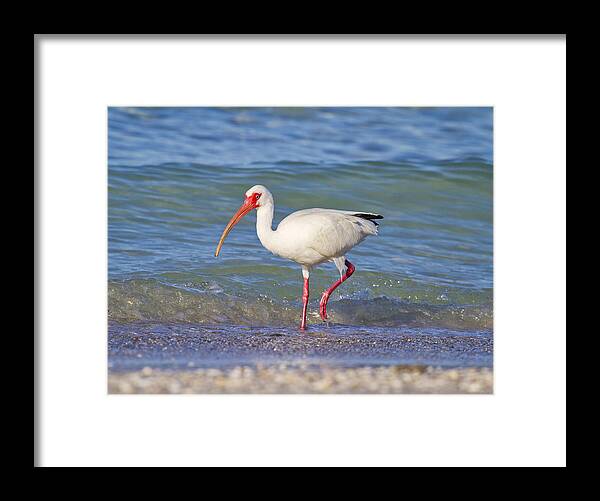 White Framed Print featuring the photograph One Step at a Time by Betsy Knapp