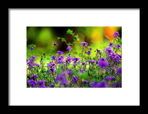 Flowers Framed Print featuring the photograph One Touch of Nature by Melanie Moraga