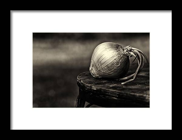 Da*55 1.4 Framed Print featuring the photograph Onion by Lori Coleman