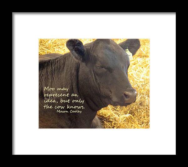 Moo Framed Print featuring the photograph Only Cows Know by Ian MacDonald