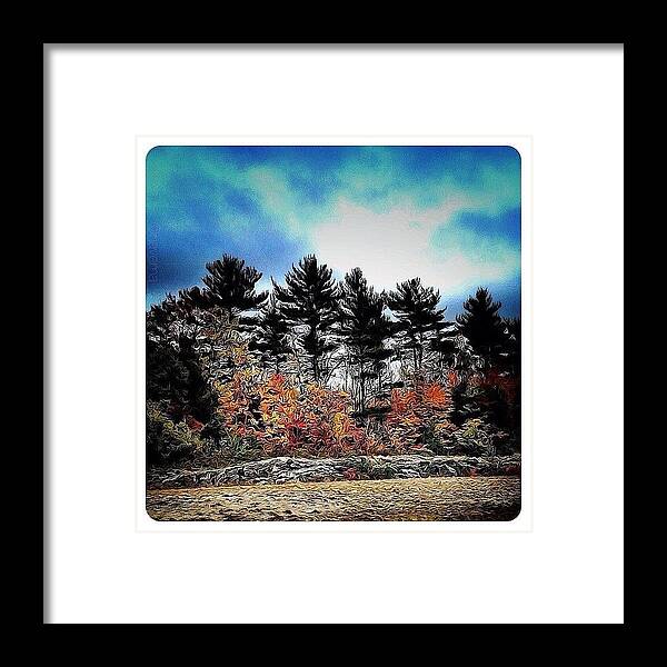 Teamrebel Framed Print featuring the photograph Ontario by Natasha Marco