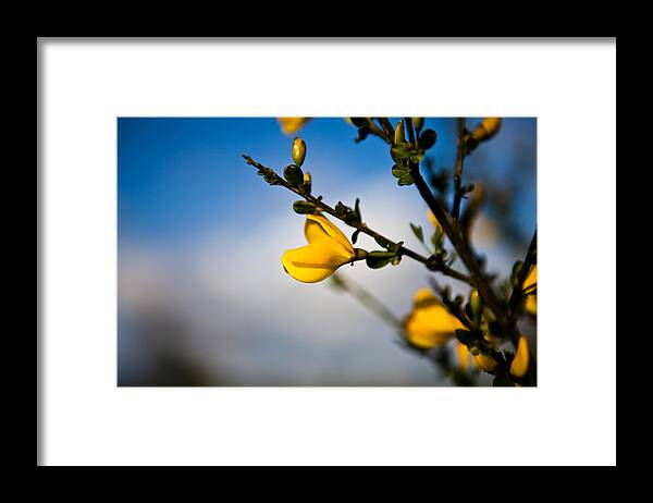 Open Framed Print featuring the photograph Open Wide by Joseph Bowman