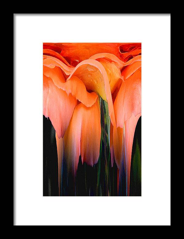 Abstract Framed Print featuring the photograph Orange Abstract by Pat Exum