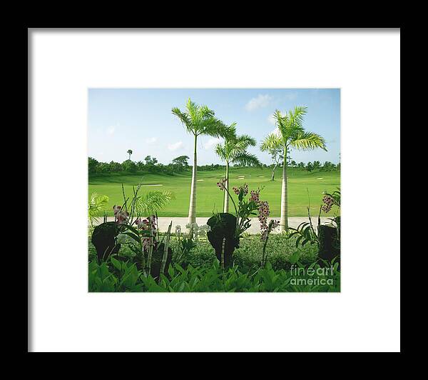 Orchid Framed Print featuring the photograph Orchids at Iberostar Golf Course in Punta Cana DR by Heather Kirk