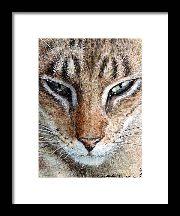 Cat Framed Print featuring the painting Oriental cat by Svetlana Ledneva-Schukina