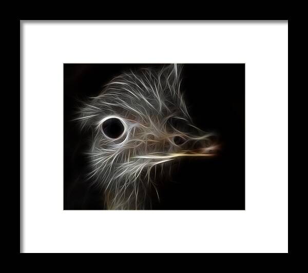 Ostrich Fractalius Framed Print featuring the photograph Ostrich Fractalius by Maggy Marsh
