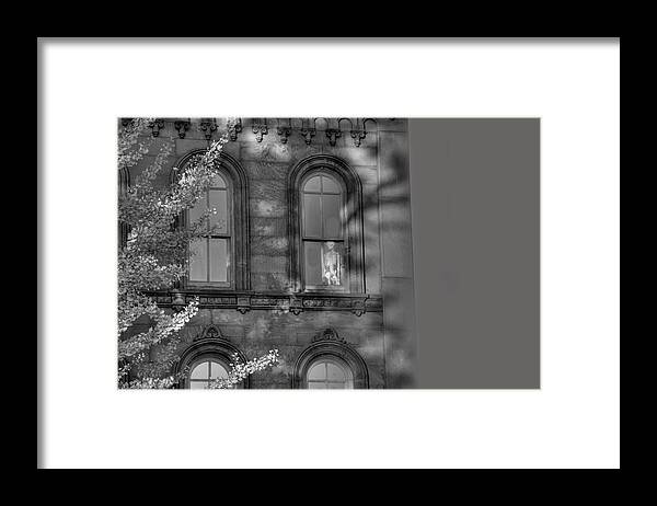 Halloween Framed Print featuring the digital art Out of the Closet by Sharon Batdorf