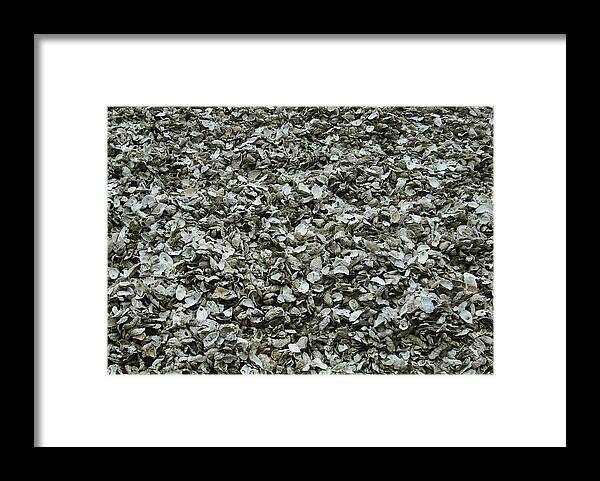 Oysterville Framed Print featuring the photograph Oyster Piles in Oysterville by Kelly Manning