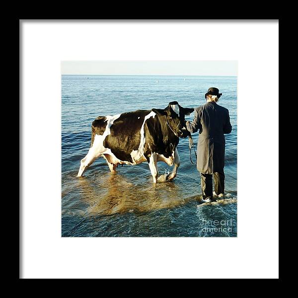 Cow Framed Print featuring the photograph Paddling Pool by Therese Alcorn