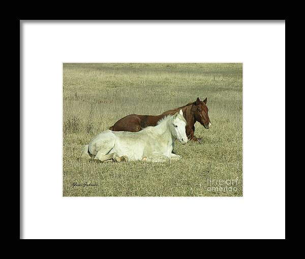 Pair Framed Print featuring the photograph Pair of Horses by Yumi Johnson