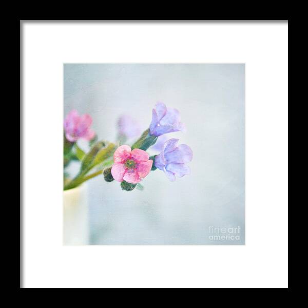 Flowers Framed Print featuring the photograph Pale pink and purple Pulmonaria flowers by Lyn Randle