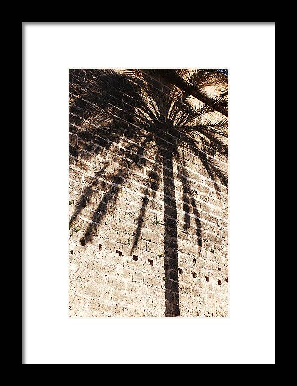 Palmera Framed Print featuring the photograph Palm shadow by Agusti Pardo Rossello