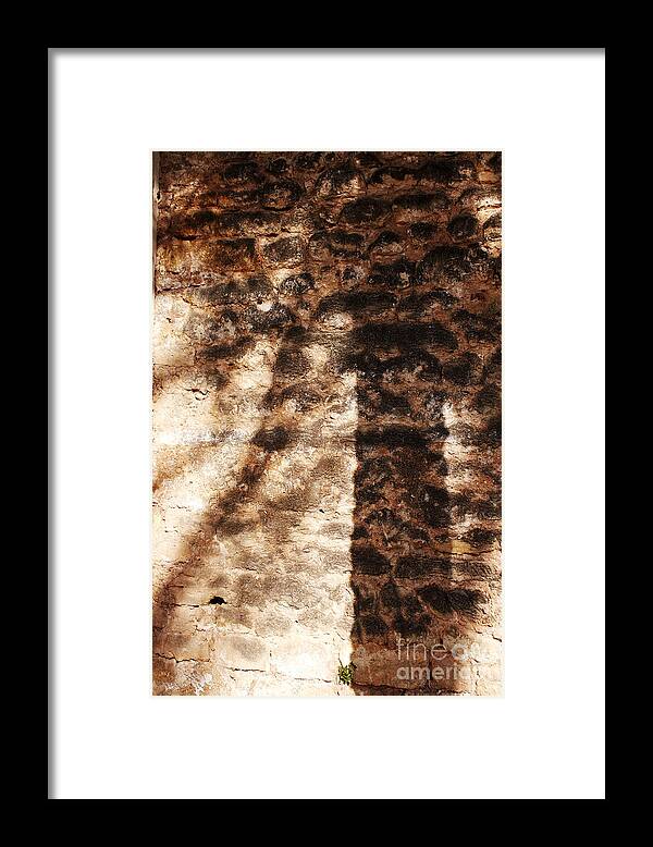 Palmera Framed Print featuring the photograph Palm trunk by Agusti Pardo Rossello