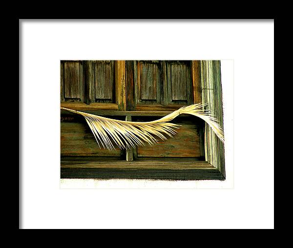 Digital Photography Framed Print featuring the photograph Palms by Jean Wolfrum