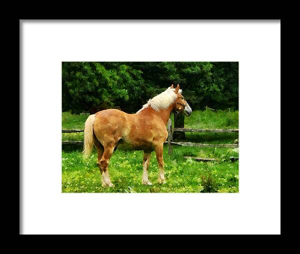 Horse Framed Print featuring the photograph Palomino Walking Away by Susan Savad