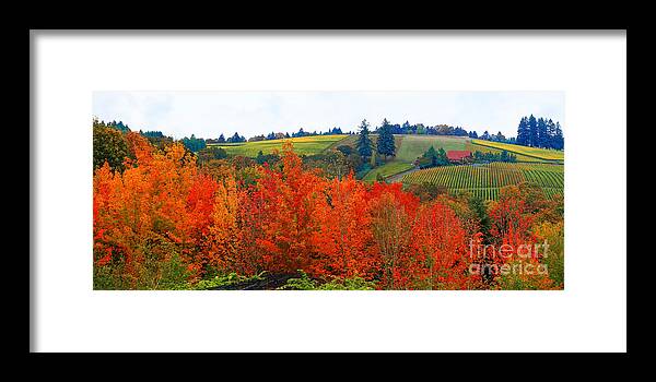 Willamette Valley Farmland Framed Print featuring the photograph Panorama of The Red Hills of Dundee Oregon by Margaret Hood