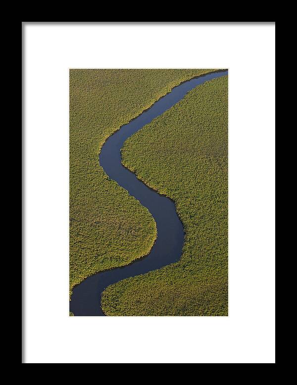 Mp Framed Print featuring the photograph Papyrus Cuperus Papyrus Swamps by Pete Oxford