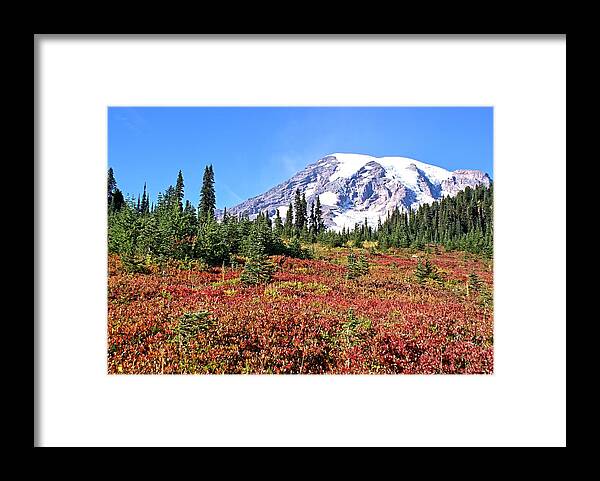 Mt. Framed Print featuring the photograph Paradise in Fall on MT. Rainier by Rob Green