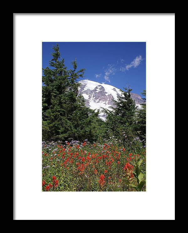 Mount Rainier Framed Print featuring the photograph Paradise by Jerry Cahill