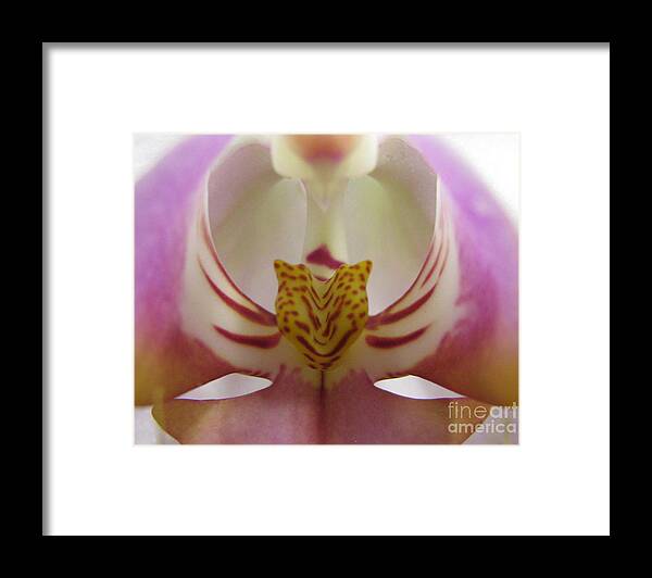 Flower Framed Print featuring the photograph Paradise by Holy Hands