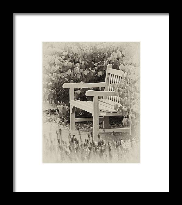Park Framed Print featuring the photograph Park Bench by Bill Barber