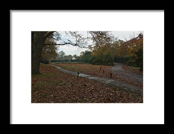 Richmond Park Framed Print featuring the photograph Park Cottage 2 by Maj Seda