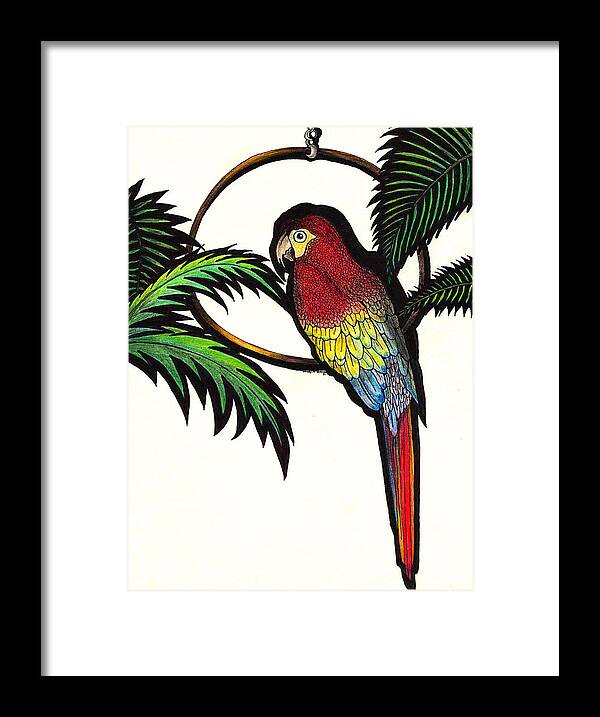 Parrot Framed Print featuring the drawing Parrot Shadows by Wendy McKennon