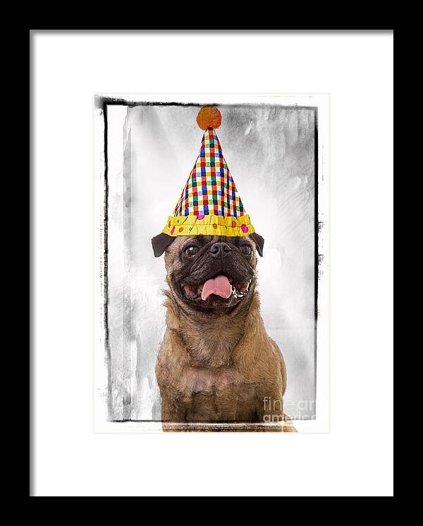 Party Framed Print featuring the photograph Party Animal by Edward Fielding