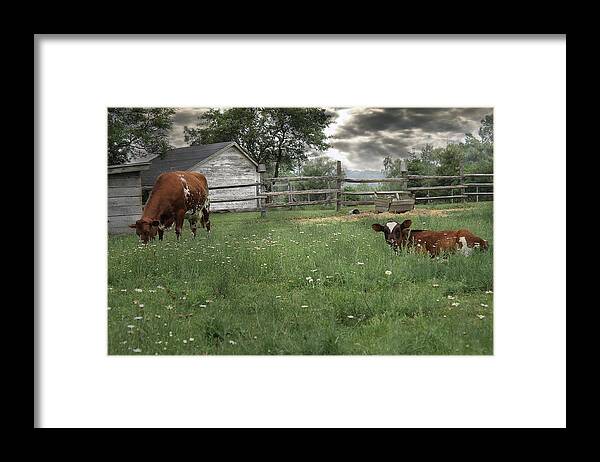 Hovind Framed Print featuring the photograph Pasture by Scott Hovind