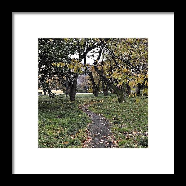 Nikon Framed Print featuring the photograph Path Through Greenery by Claire Raphaela