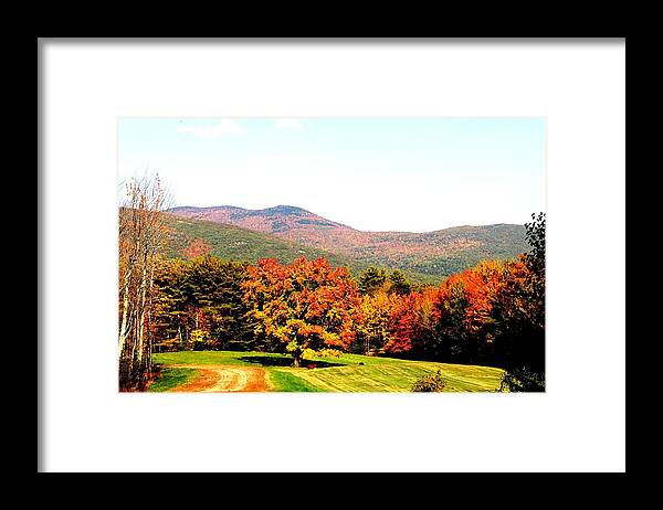 Moutains Framed Print featuring the photograph Path to Nowhere by Charlene Reinauer