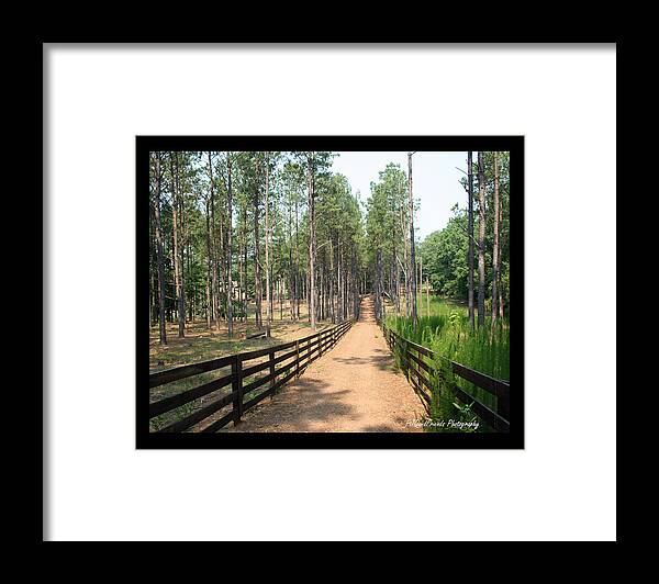 Path Framed Print featuring the photograph 'Path to Serenbe' by PJQandFriends Photography