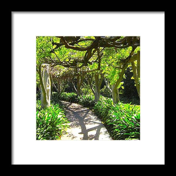 Huntingtonlibrary Framed Print featuring the photograph Pathway #pathway #canopy #arbor by Mark Jackson