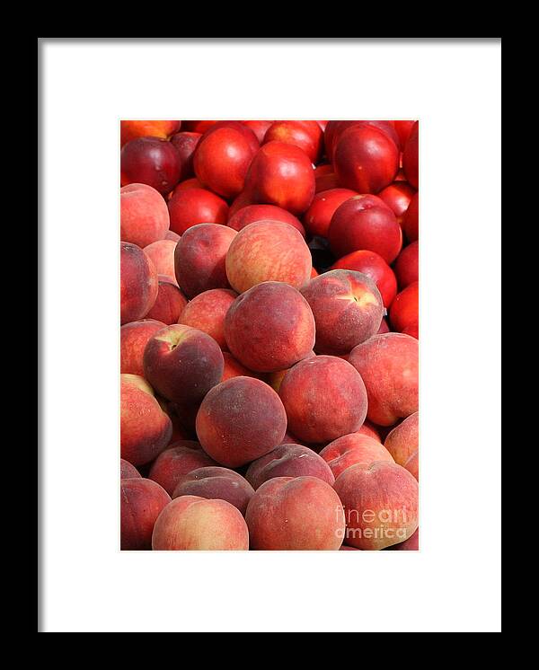 Peaches Framed Print featuring the photograph Peaches and Nectarines by Carol Groenen